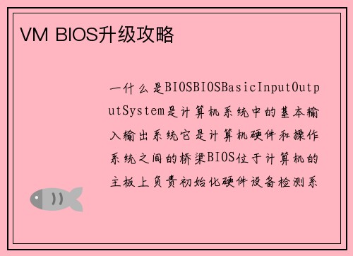 VM BIOS升级攻略