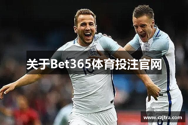 关于Bet365体育投注官网